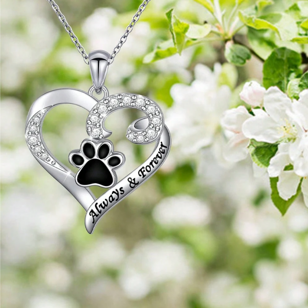 Necklace with Dog Paw of Delicate Heart in Stainless Steel