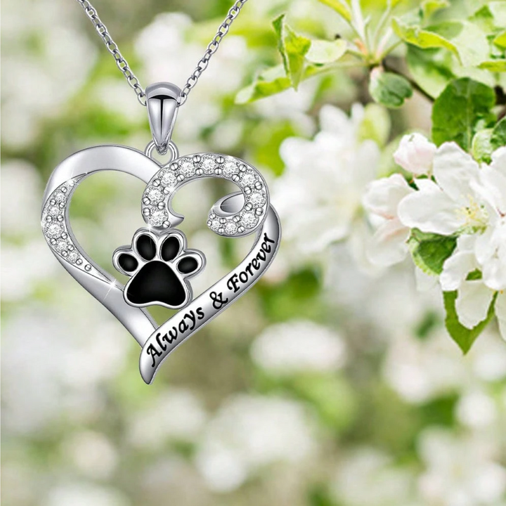 Necklace with Dog Paw of Delicate Heart in Stainless Steel